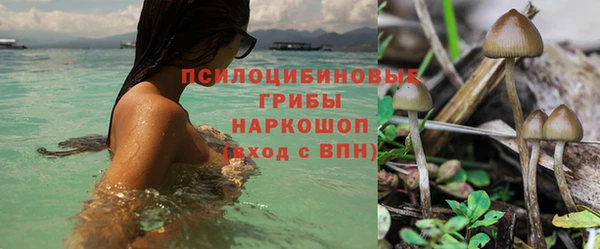 МДПВ Алзамай