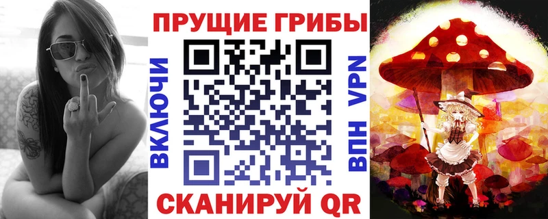 OMG как войти  Серпухов  darknet формула  Псилоцибиновые грибы GOLDEN TEACHER 